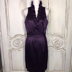 Just Taylor Gorgeous Purple Sleeveless Ruffle V Neck Waisted Party Dress Size 12